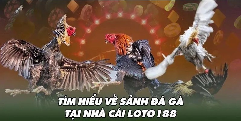 Đá Gà LOTO188 chơi không giới hạn