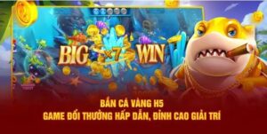 Phần thưởng và tiện ích hấp dẫn